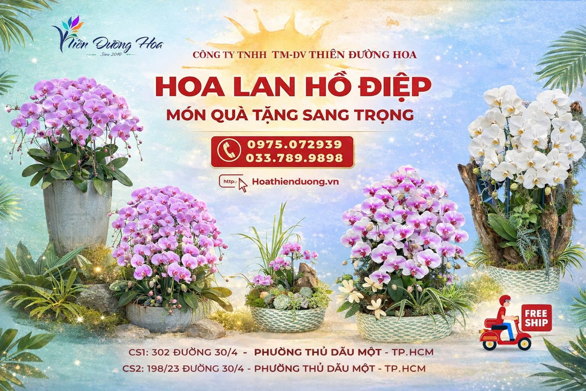 Hoa lan Hồ Điệp Tết 2026 