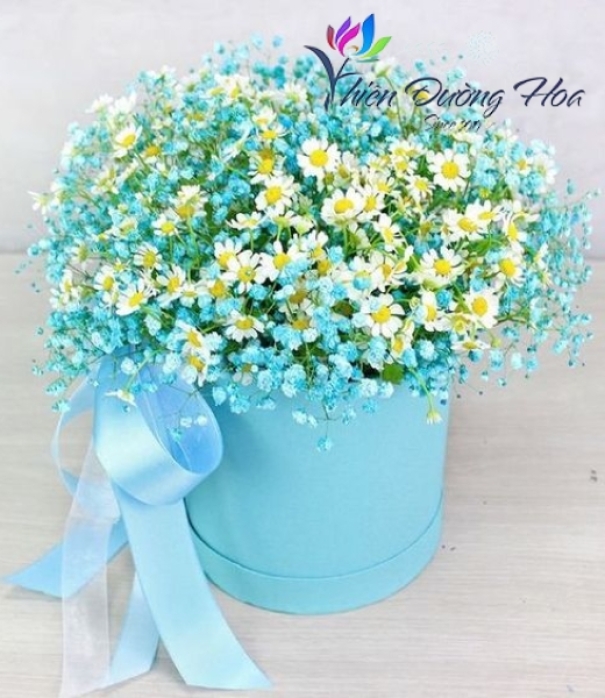 Lưu ý để chọn hoa baby chất lượng - Shop hoa baby tại Bình Dương