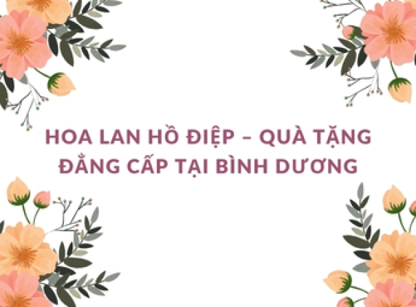 Hoa lan hồ điệp – Quà tặng đẳng cấp tại Bình Dương