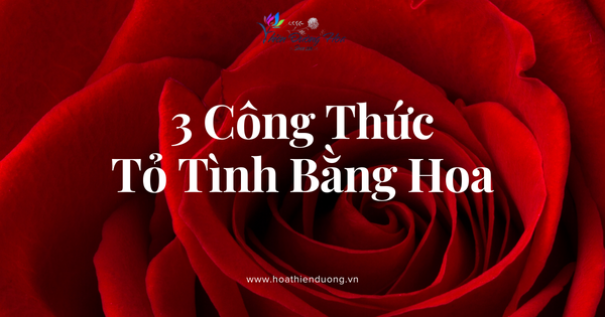Tỏ tình bằng hoa: 3 công thức nói thay trái tim