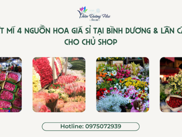 Bật Mí 4 Nguồn Hoa Giá Sỉ Tại Bình Dương & Lân Cận Cho Chủ Shop