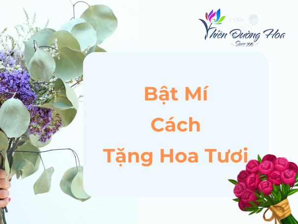 Hoa tươi Bình Dương - Bật mí cách tặng hoa tươi đẹp lòng người nhận