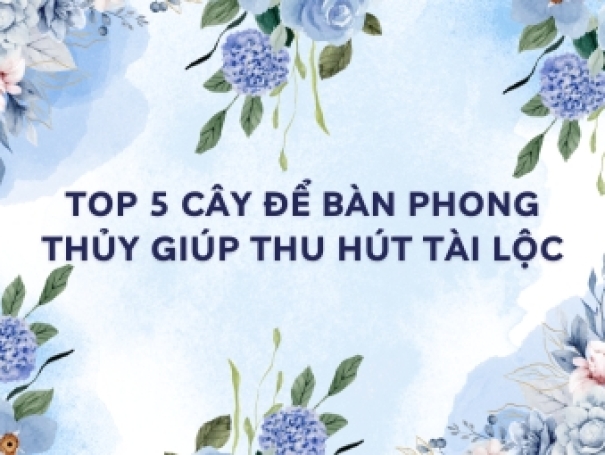 Top 5 cây để bàn phong thủy giúp thu hút tài lộc