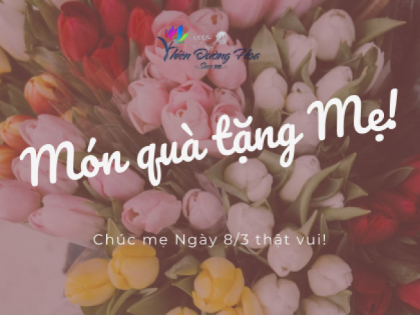 Ý nghĩa hoa tặng mẹ ngày 8/3 – Biết ơn & dịu dàng