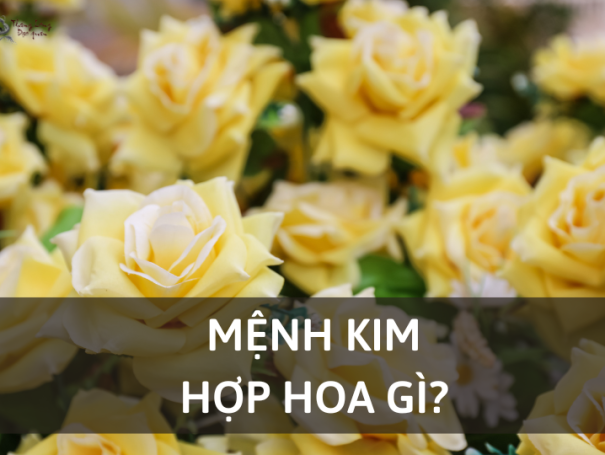 Cách chọn hoa hợp mệnh Kim để thu hút may mắn & cân bằng năng lượng