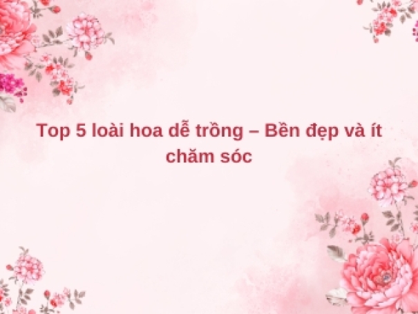 Top 5 loài hoa dễ trồng – Bền đẹp và ít chăm sóc