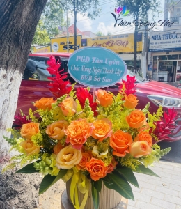 Tươi tắn VH037