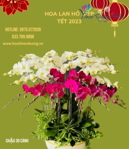Xum vầy