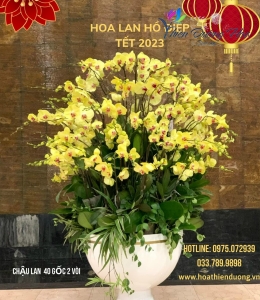 Thần tài 79