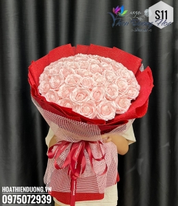 Sức sống 11