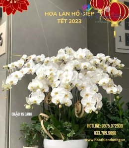 Vạn phúc