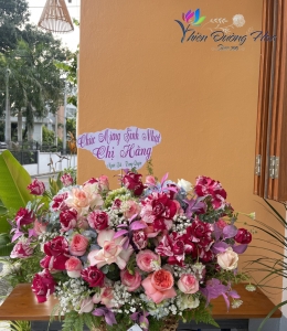 Mộng mơ 12