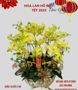 Lộc phát 39