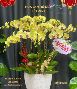 Vàng Đại Phát