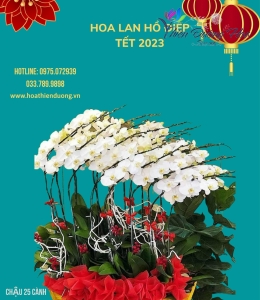 Thuyền vươn xa