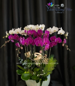 Tưng bừng