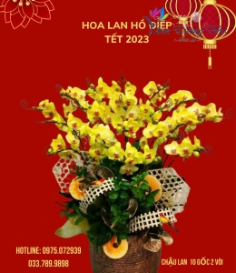 Phát lộc