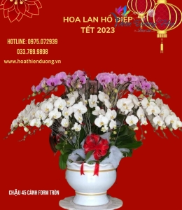 Xuân khởi sắc