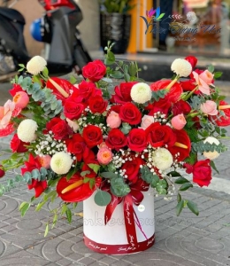 Hoa tình yêu - TDH 206