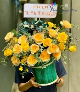 Sớm ban mai 19