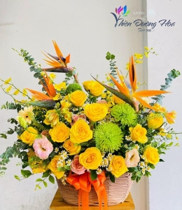 Rực rỡ 20