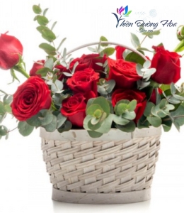 Dễ thương 23