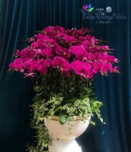 Phát Tài Phát Lộc 01