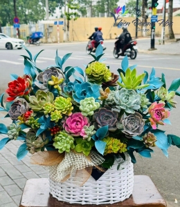 Giỏ sen đá 01