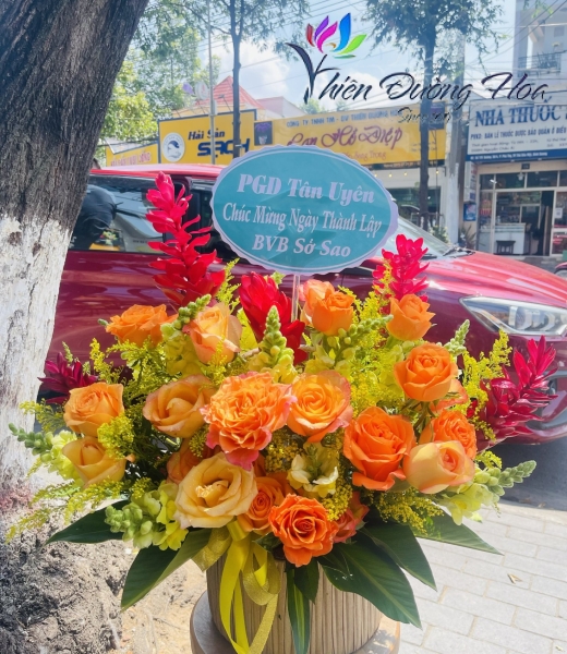 Tươi tắn VH037