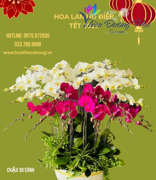 Xum vầy