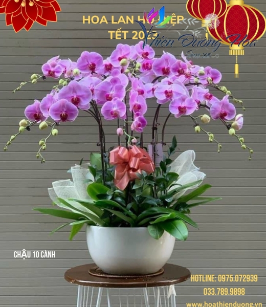 Má Hồng
