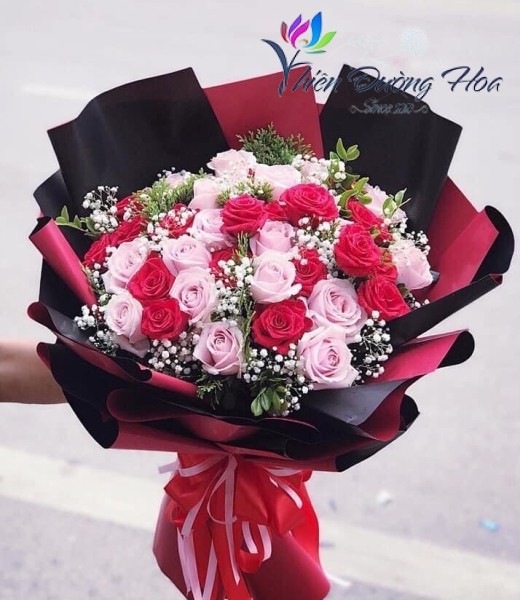 Hồng baby cute 24
