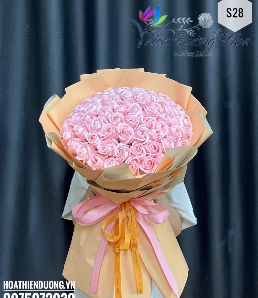 Hồng cam 28