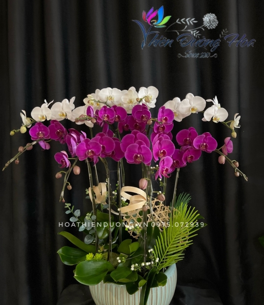 Tưng bừng
