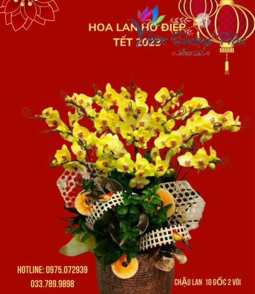 Phát lộc
