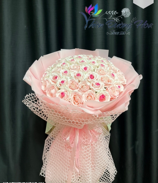 Hồng baby 07