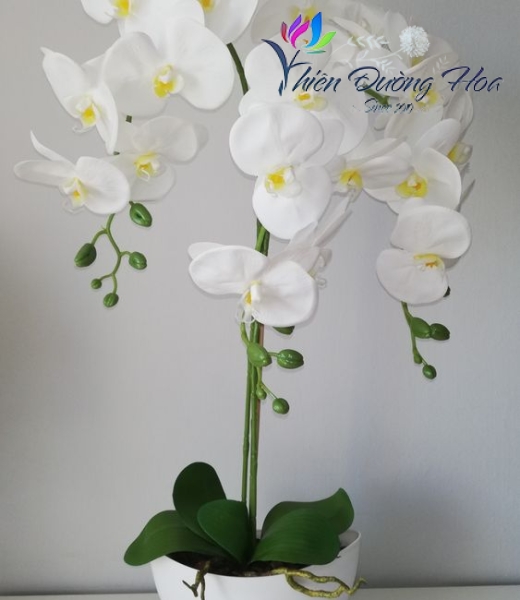 Hoa lụa cao cấp - TĐH 12
