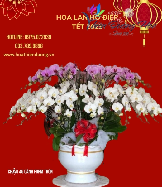 Xuân khởi sắc