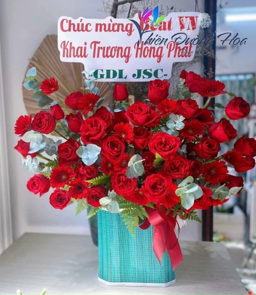 Hồng rực rỡ 18