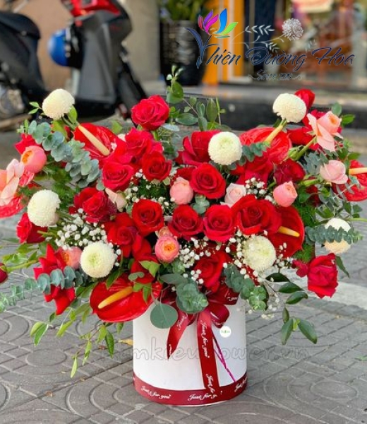 Hoa tình yêu - TDH 206