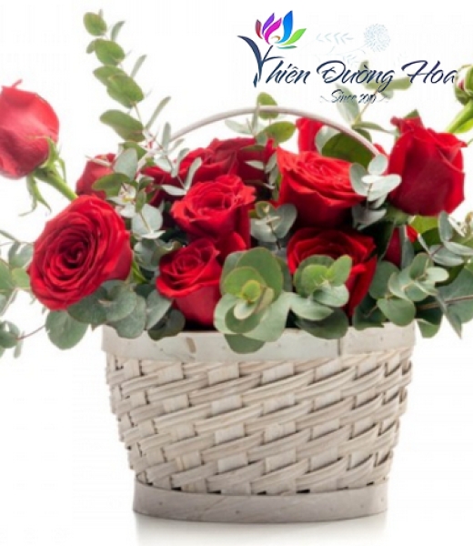 Dễ thương 23