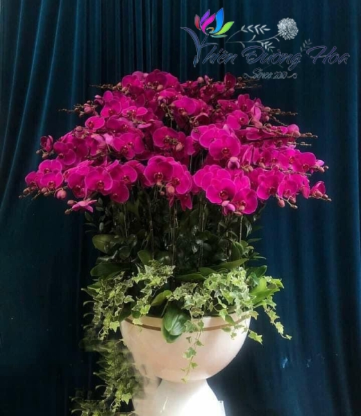 Phát Tài Phát Lộc 01