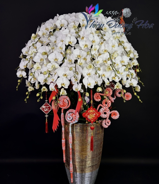 Chậu lan trắng 30 cành 
