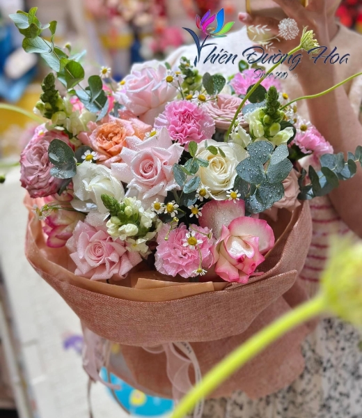 Màu nắng- TĐH 004